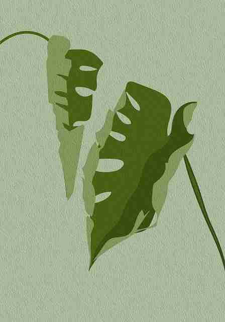 高码率1080P【霓裳私语】宋承宪×张静初未删减完整版中文字幕免费在线观看