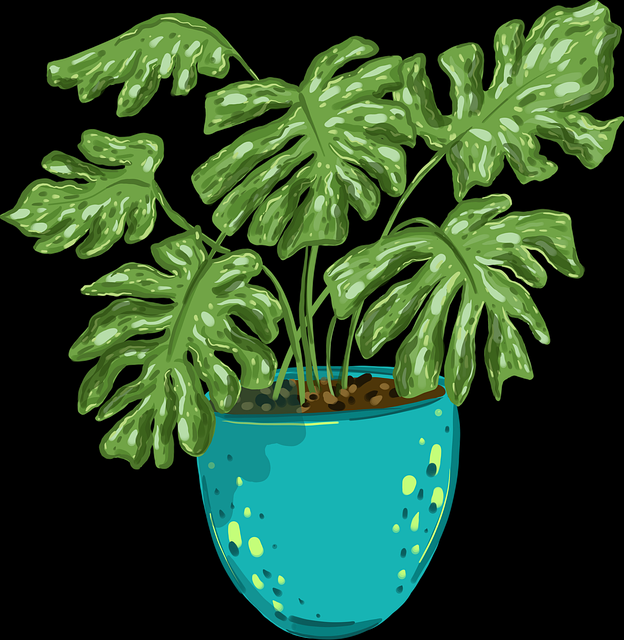 超高速下载1080P【撩火界线】彭于晏×尹恩惠无删减无水印在线抢先看