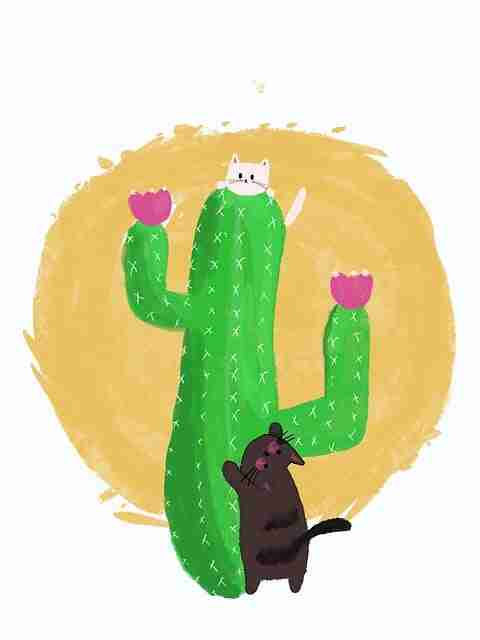 全网首发1080P【迷情迷途】赵寅成×杨祐宁高清中文字幕在线秒播