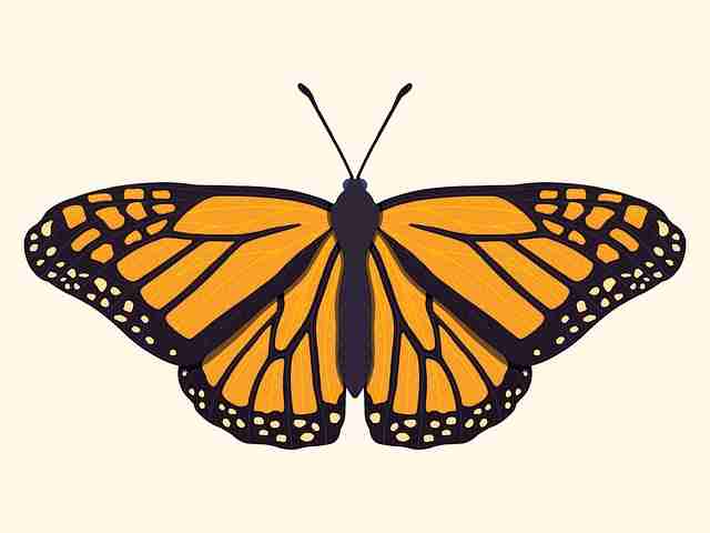 超清无删减完整版【花与蛇】刘亦菲×景甜独家加长4K高清抢鲜